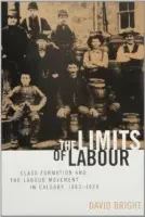 Limits of Labour - Bright, David