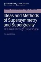 Introduction to Supersymmetric Field Theory - Kuzenko, Sergio M. (University Western Australia , Crawley, Australia)