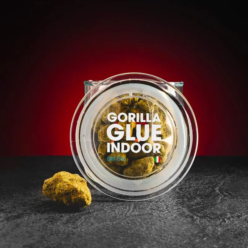 CBD Indoor Gorilla Glue 15% 1g