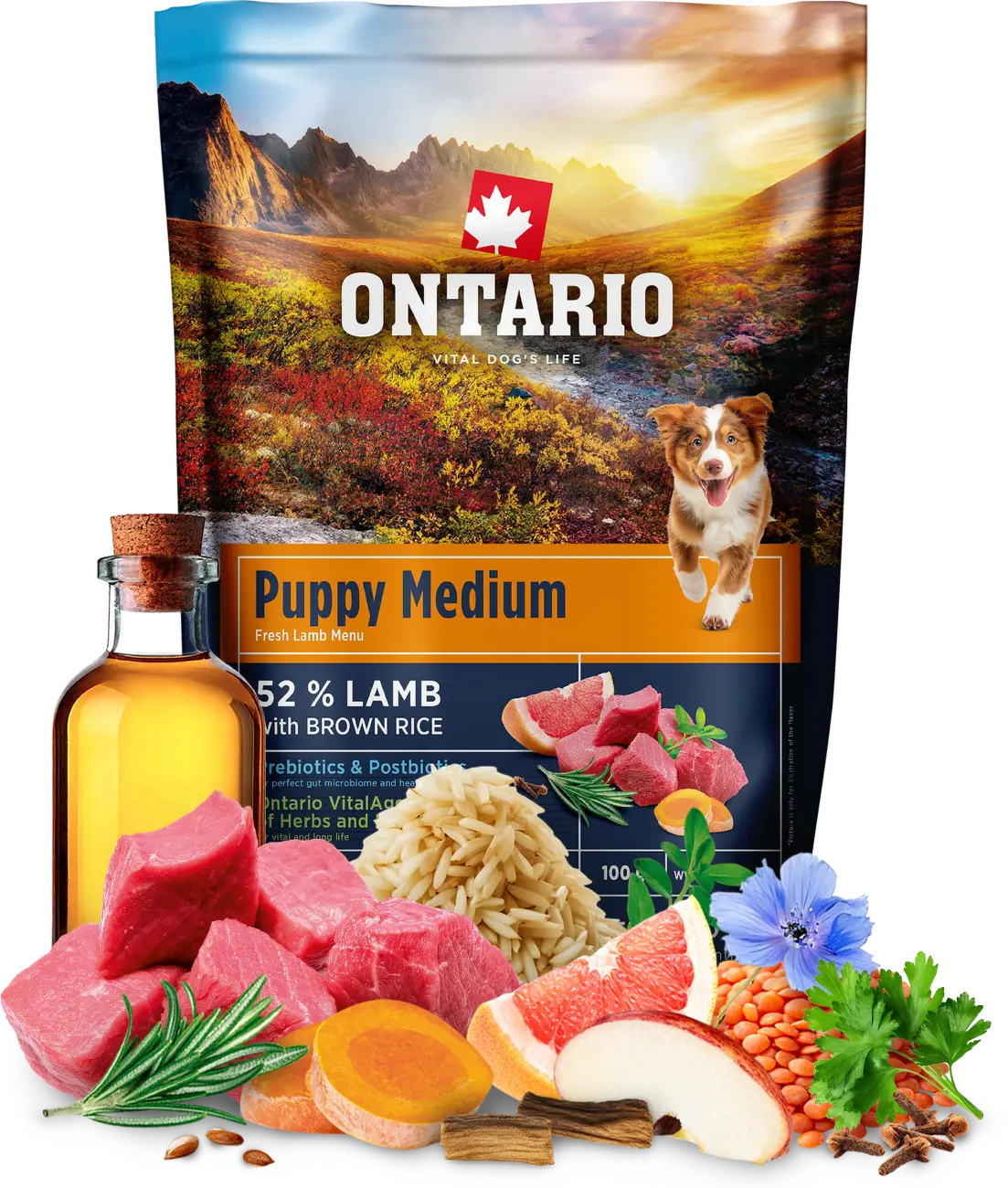 Vzorek - Ontario Puppy Medium Lamb & Brown Rice 100g