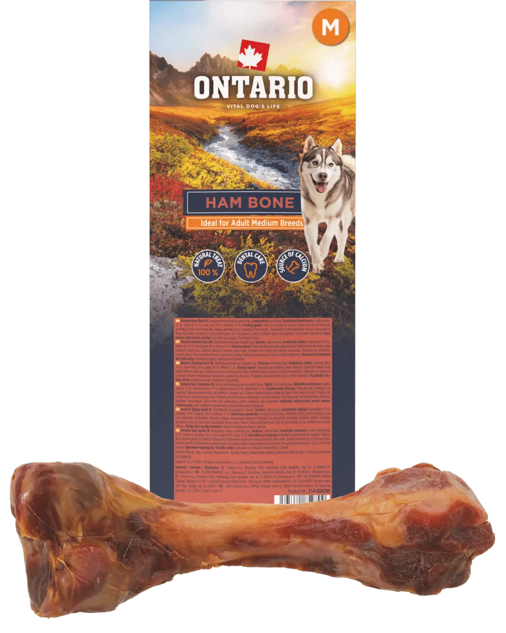 ONTARIO Pochoutka kost šunková velikost M