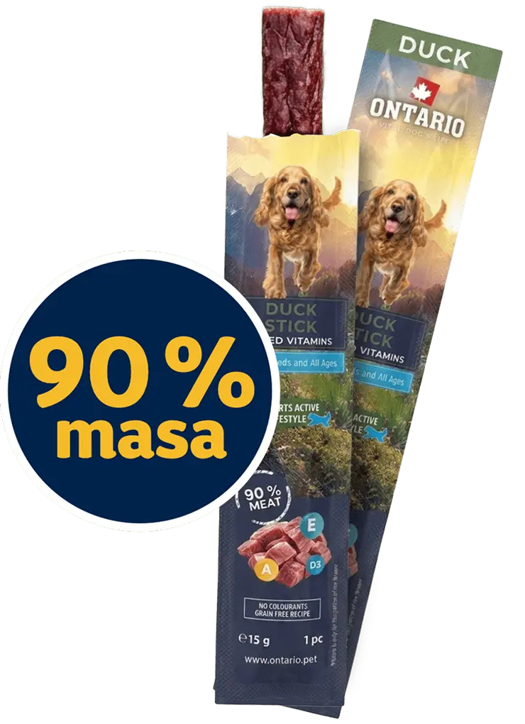 Pochoutka Ontario tyčinka kachní 15g