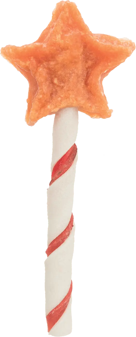 Vánoční pamlsek pro psy Trixie Xmas Chicken Lollipop s kuřecím masem 14 g
