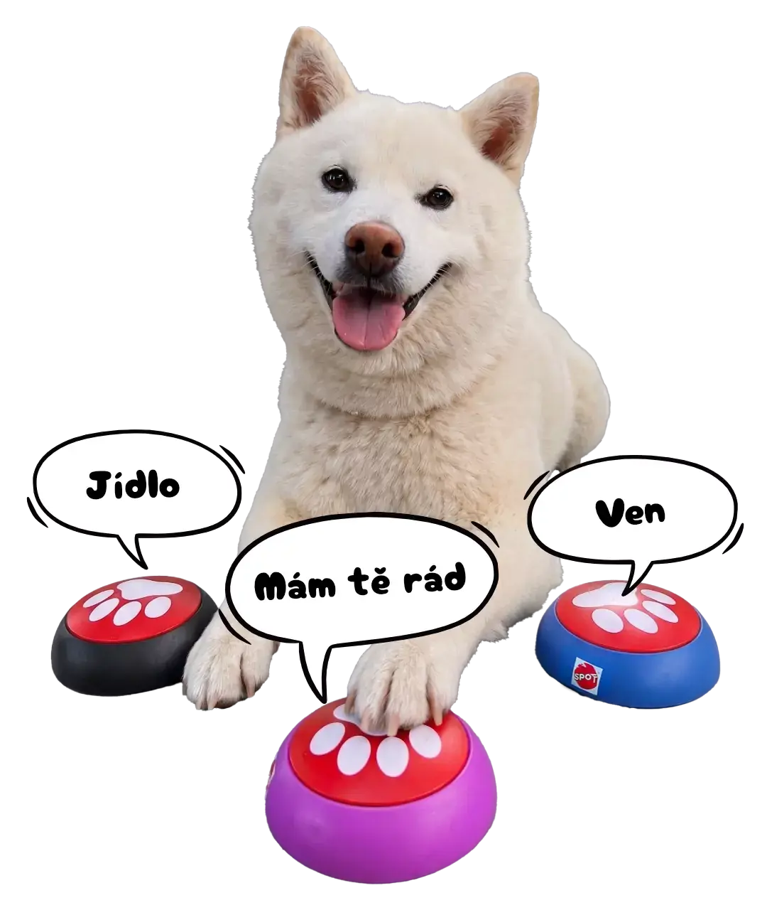 Hračka Spot Easy Talk interaktivní tlačítka 3 ks