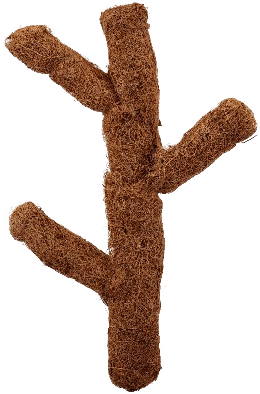 Repti Planet Dekorace Coco Troncho 40cm
