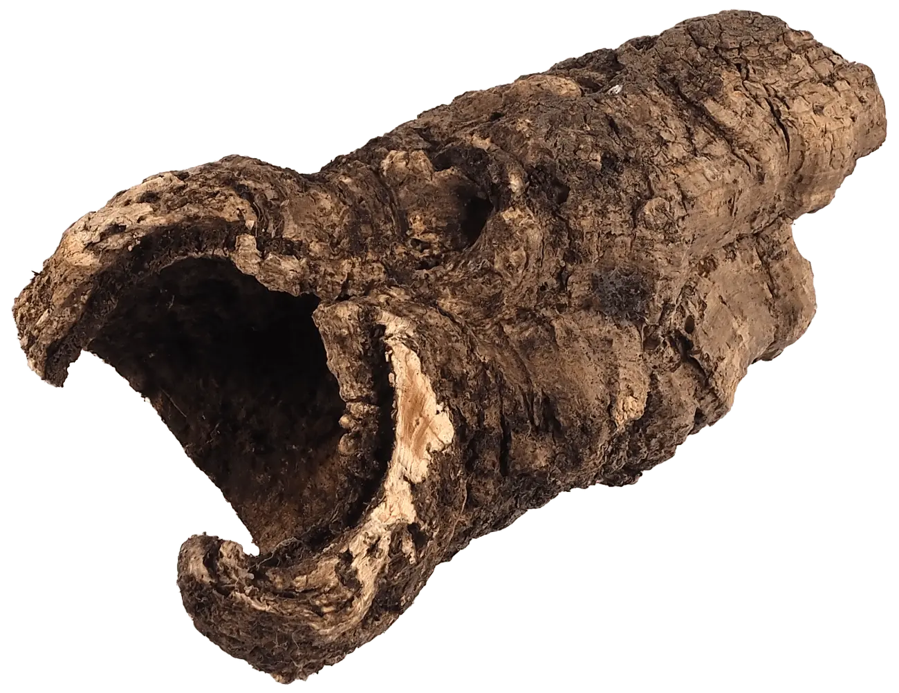 Dekorace Repti Planet Korková kůra S 12-15cm