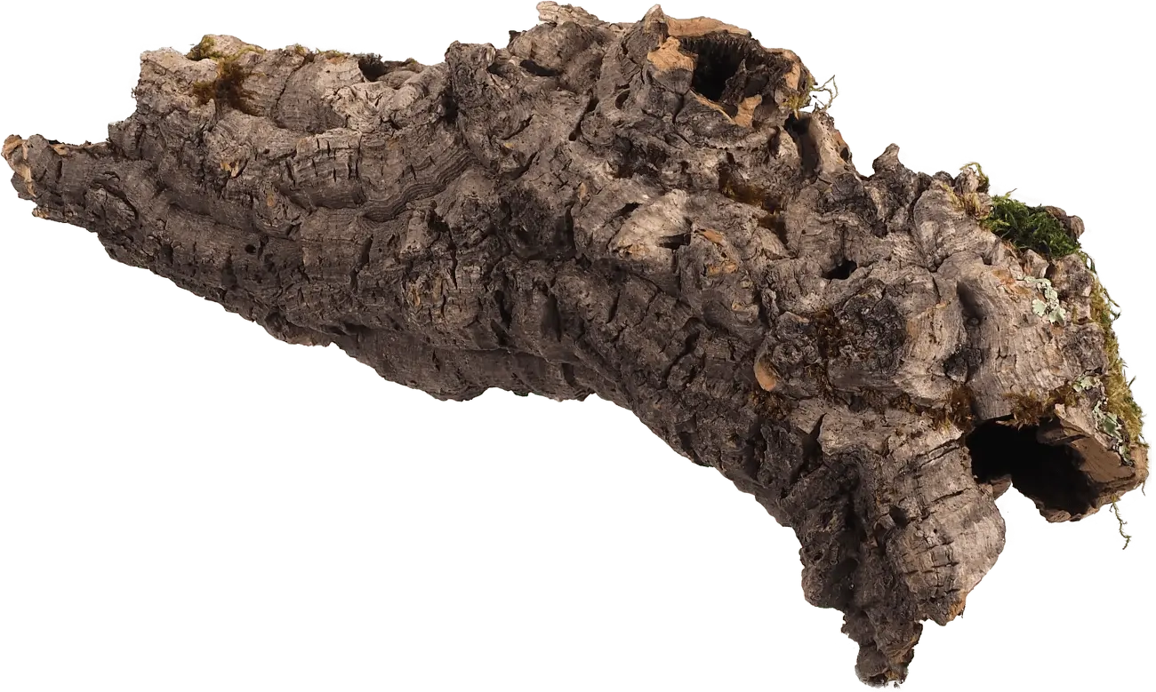 Dekorace Repti Planet Korková kůra M 15-30cm
