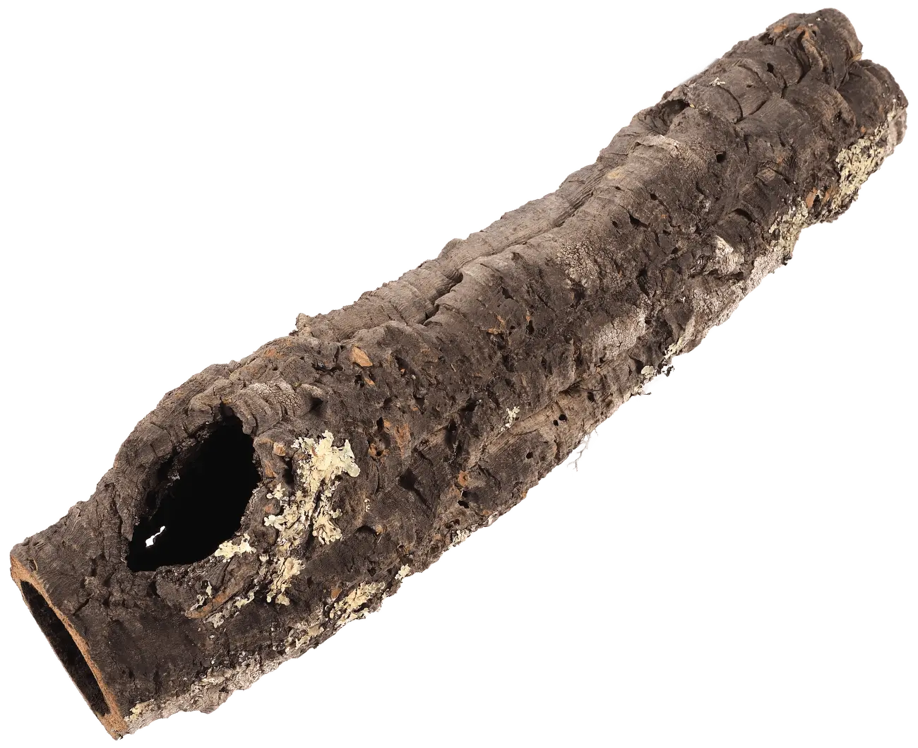 Dekorace Repti Planet Korková kůra L 30-50cm