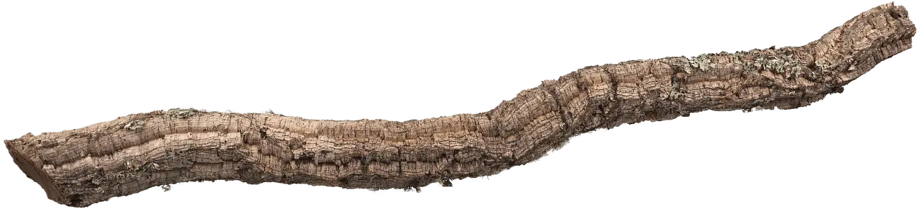 Dekorace Repti Planet Korková větev XL 90-120cm