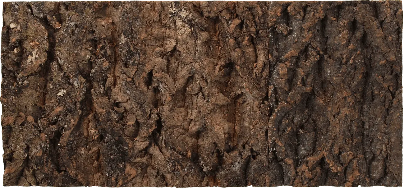 Pozadí REPTI PLANET korek přírodní 48,8 x 22,7 x 2 cm 1 ks