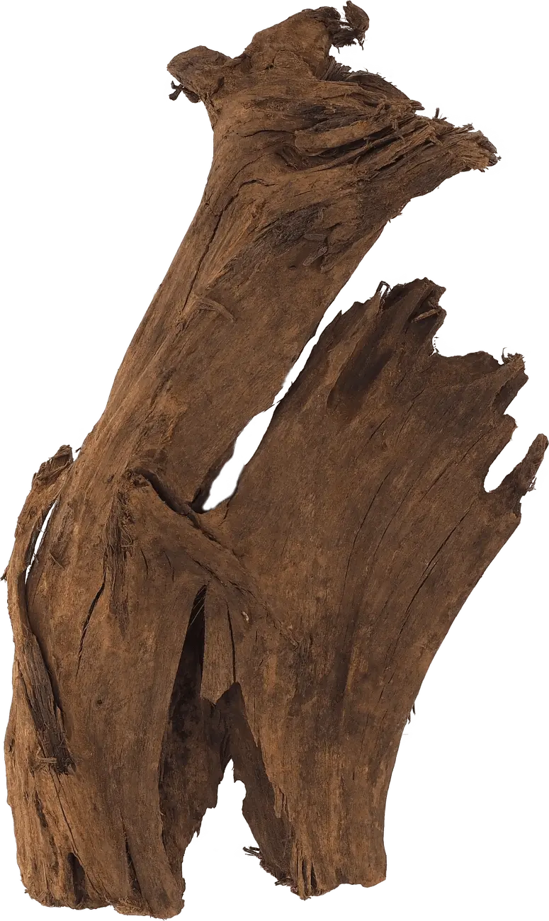 Kořen REPTI PLANET DriftWood Bulk M 1 ks