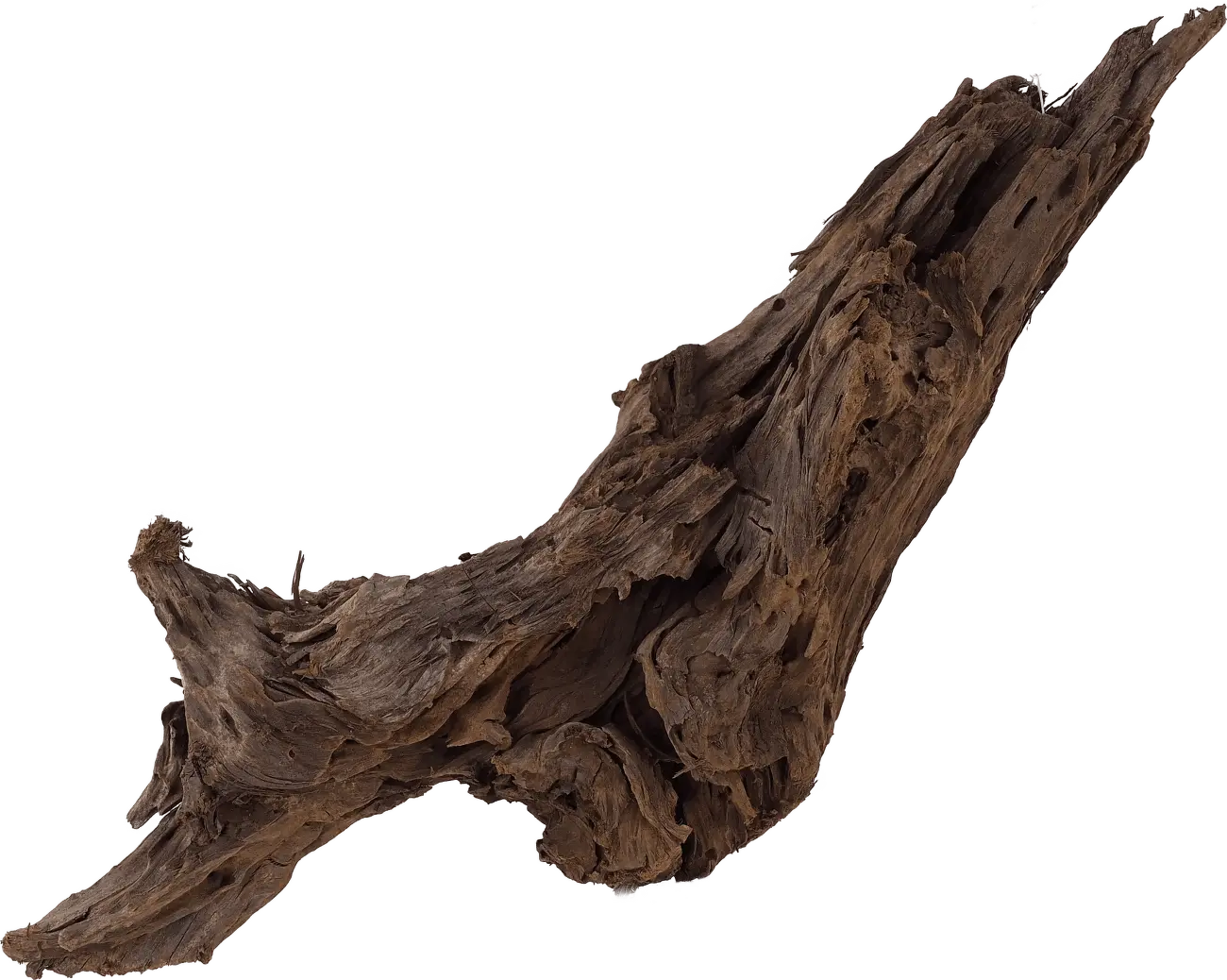 Dekorace Repti Planet Kořen DriftWood Bulk L 35-55cm