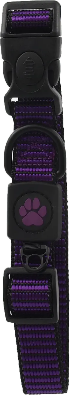 Obojek Active Dog Strong L fialový 2,5x45-68cm