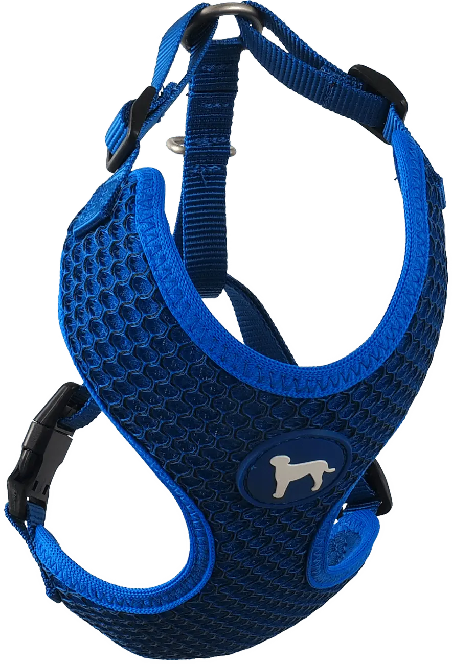 Postroj Active Dog Mellow S tm. modrý 1,5x35-47cm