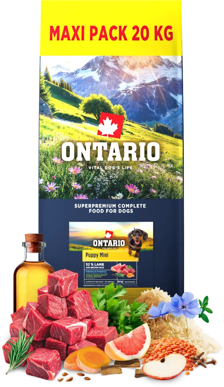 Ontario Puppy Mini Lamb & Brown Rice 20kg