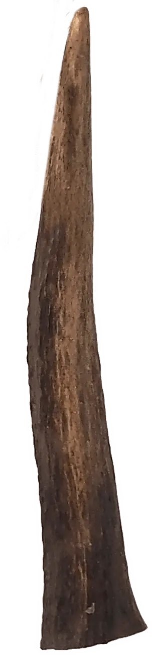 Pochoutka Ontario paroh jelení M
