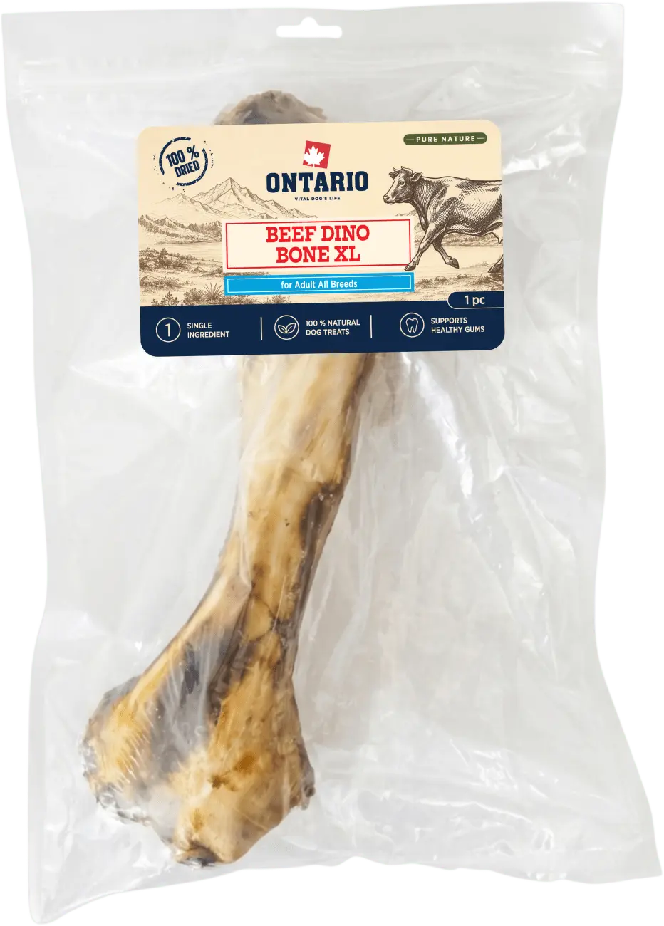 Sušená hovězí Dino kost XL Ontario Pure Nature 1 ks