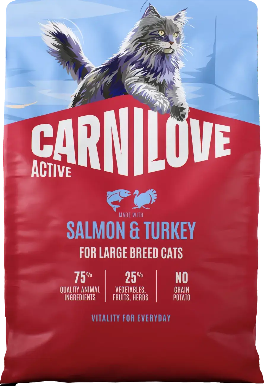 Carnilove Cat Active Dry Salmon&turkey Adult Lb 2kg