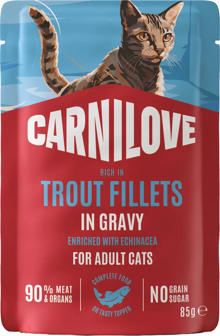 CARNILOVE Kapsička pro kočky s omáčkou pstruh a echinacea 85 g
