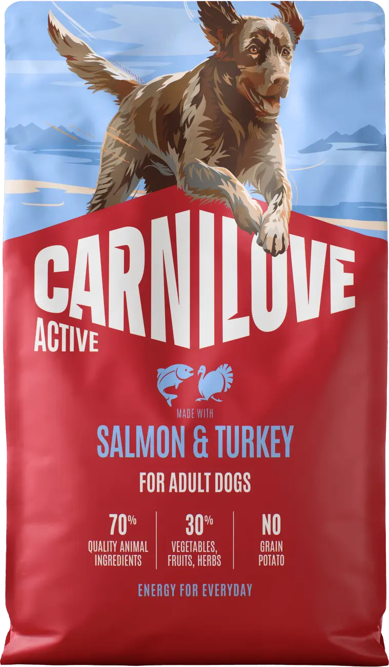 Carnilove Dog Active Dry Salmon&Turkey Adult AB 4kg