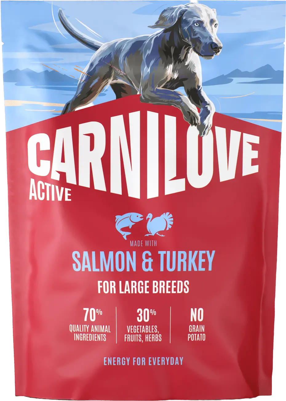 Carnilove Dog Active Dry Salmon&Turkey Adult LB 1,5kg