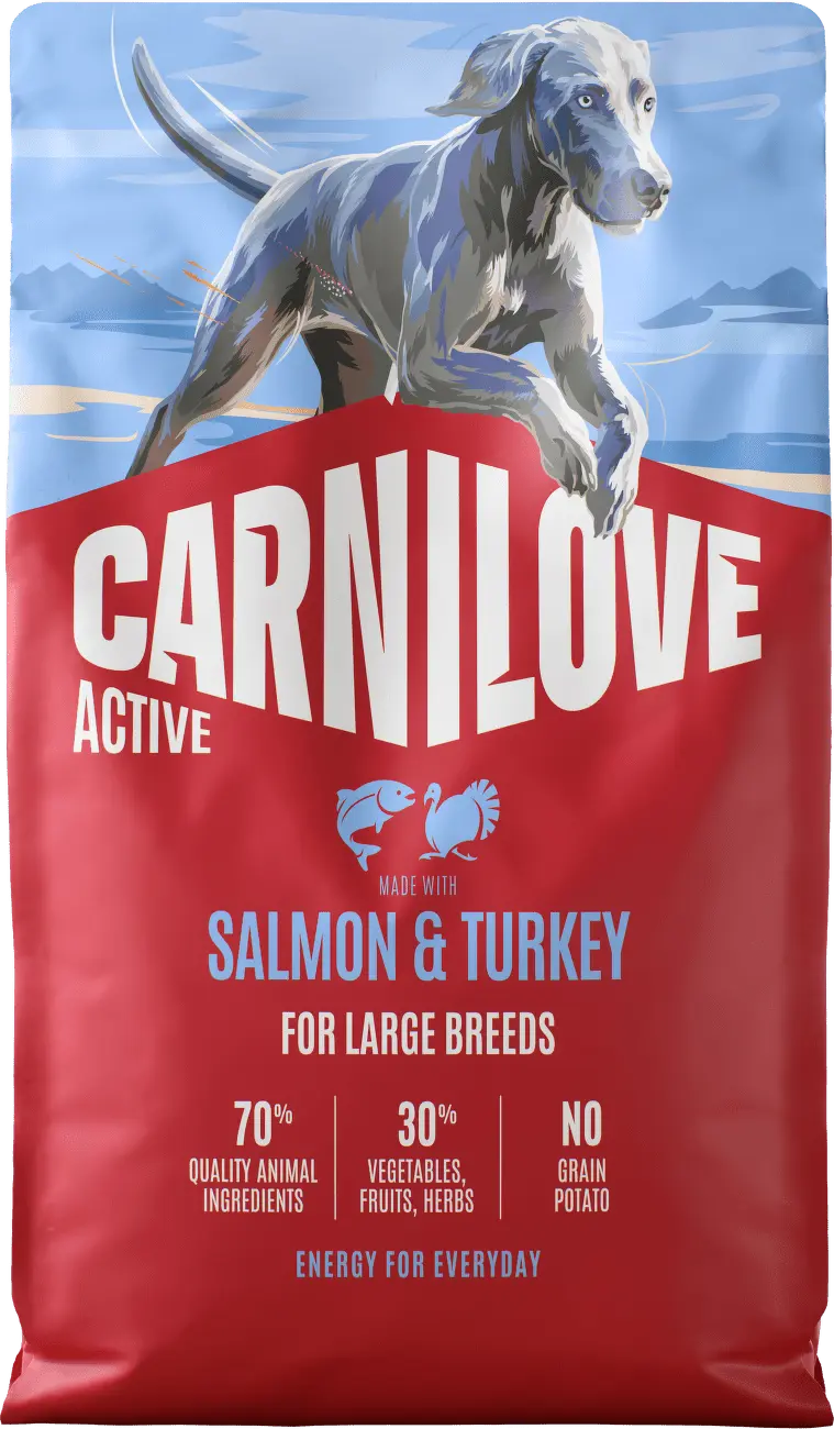 Carnilove Dog Active Dry Salmon&Turkey Adult LB 4kg