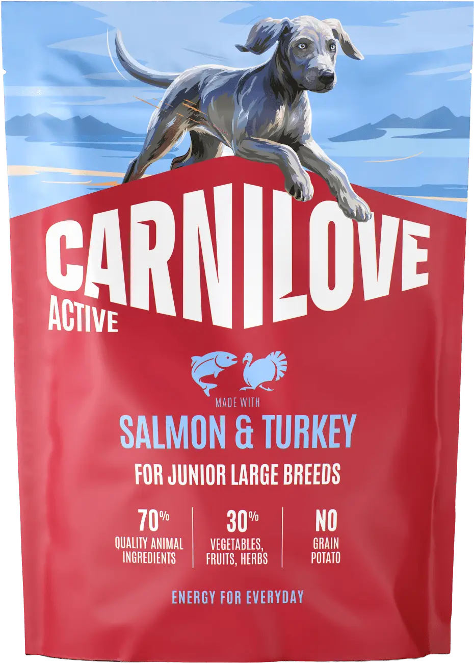 Carnilove Dog Active Dry Salmon&Turkey Junior LB 4kg