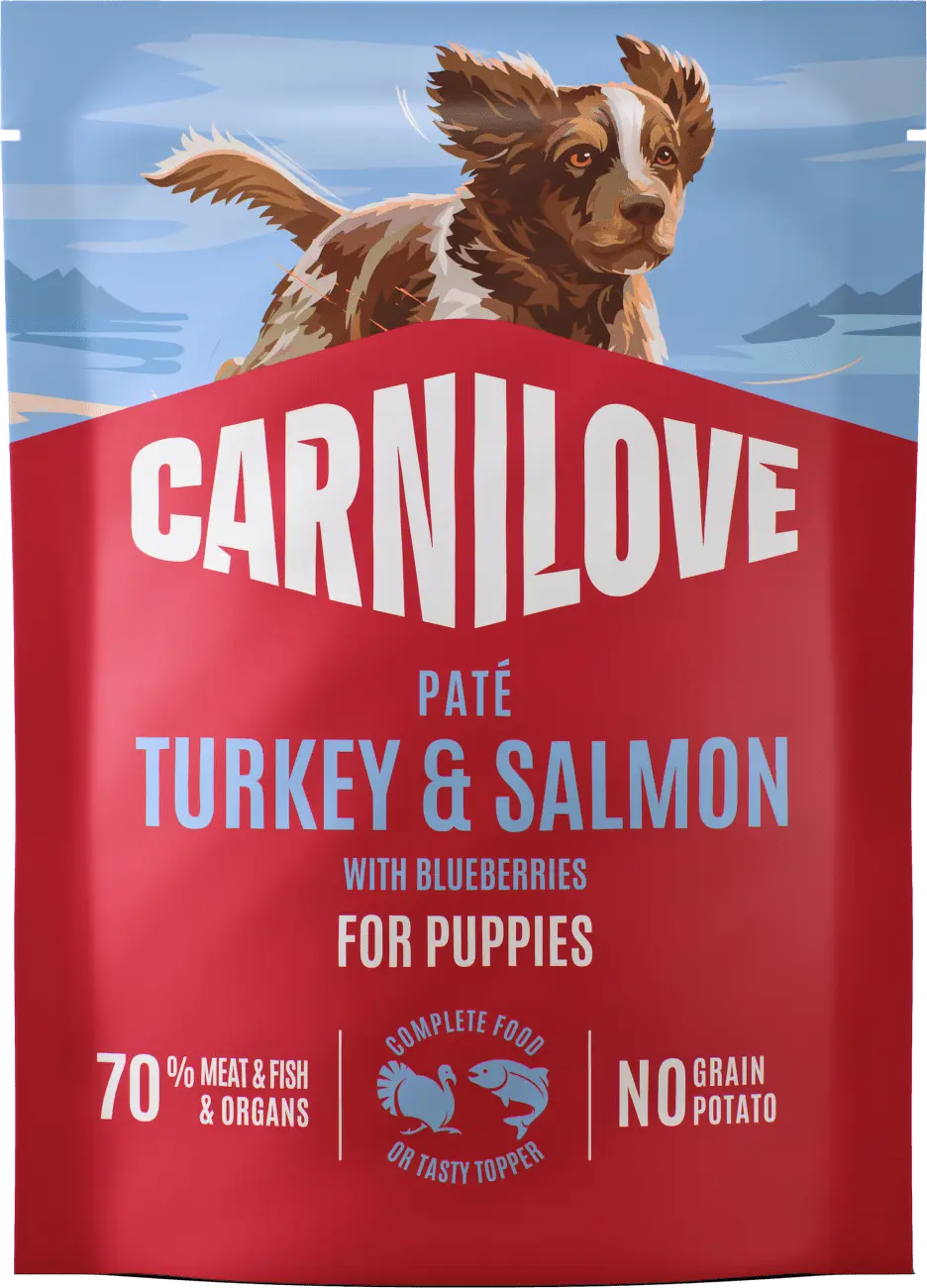 Carnilove Dog Puppy Paté 300g - Turkey & Salmon with Blueberries