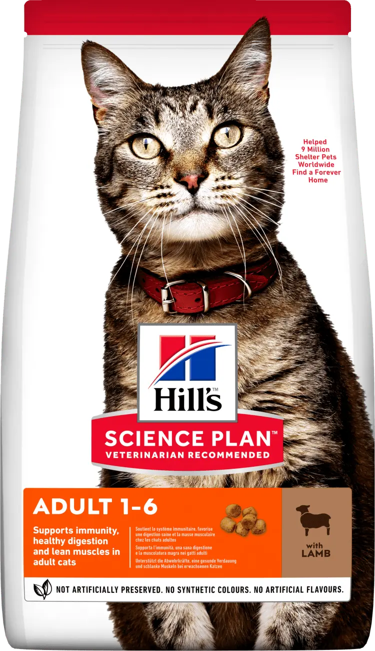 Hill´s Science Plan Feline Adult Lamb & Rice 10kg