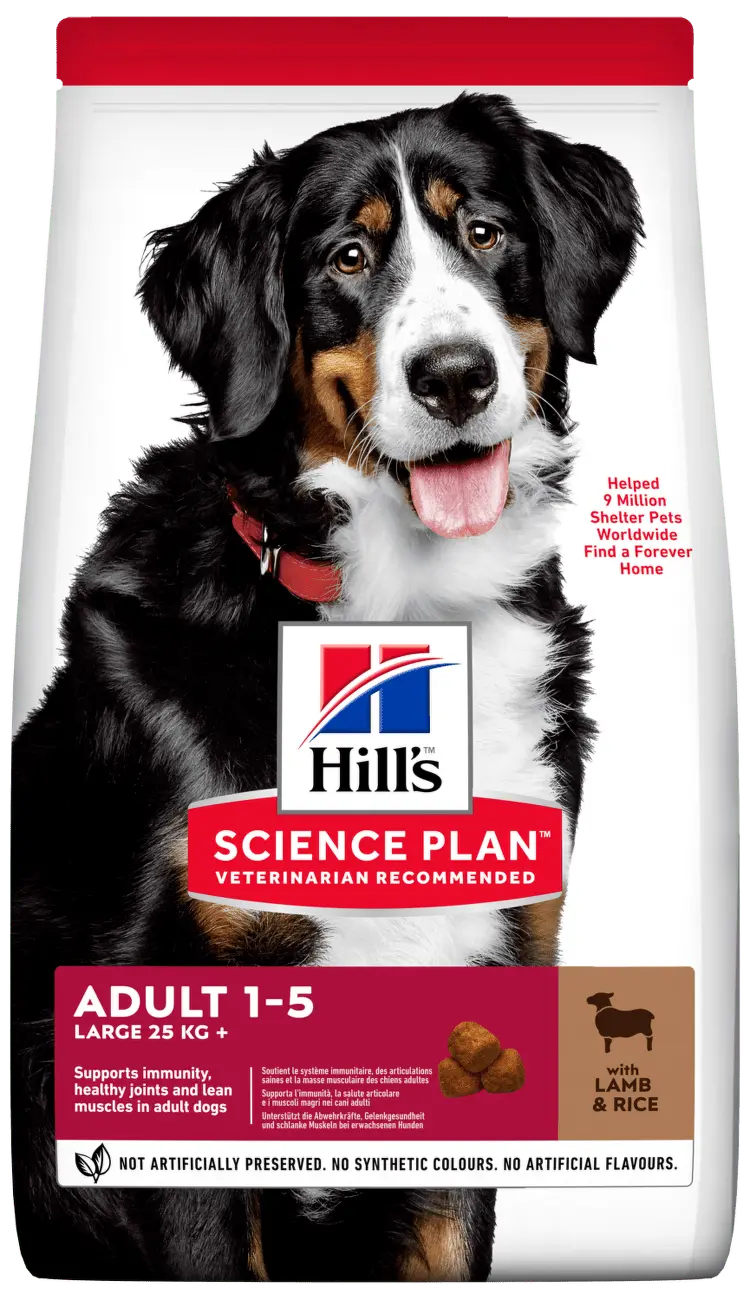 Hill´s Science Plan Canine Adult Large Breed Lamb & Rice 14kg