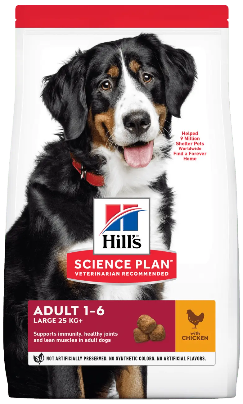 Hill´s Science Plan Canine Adult Large Breed Chicken 14kg