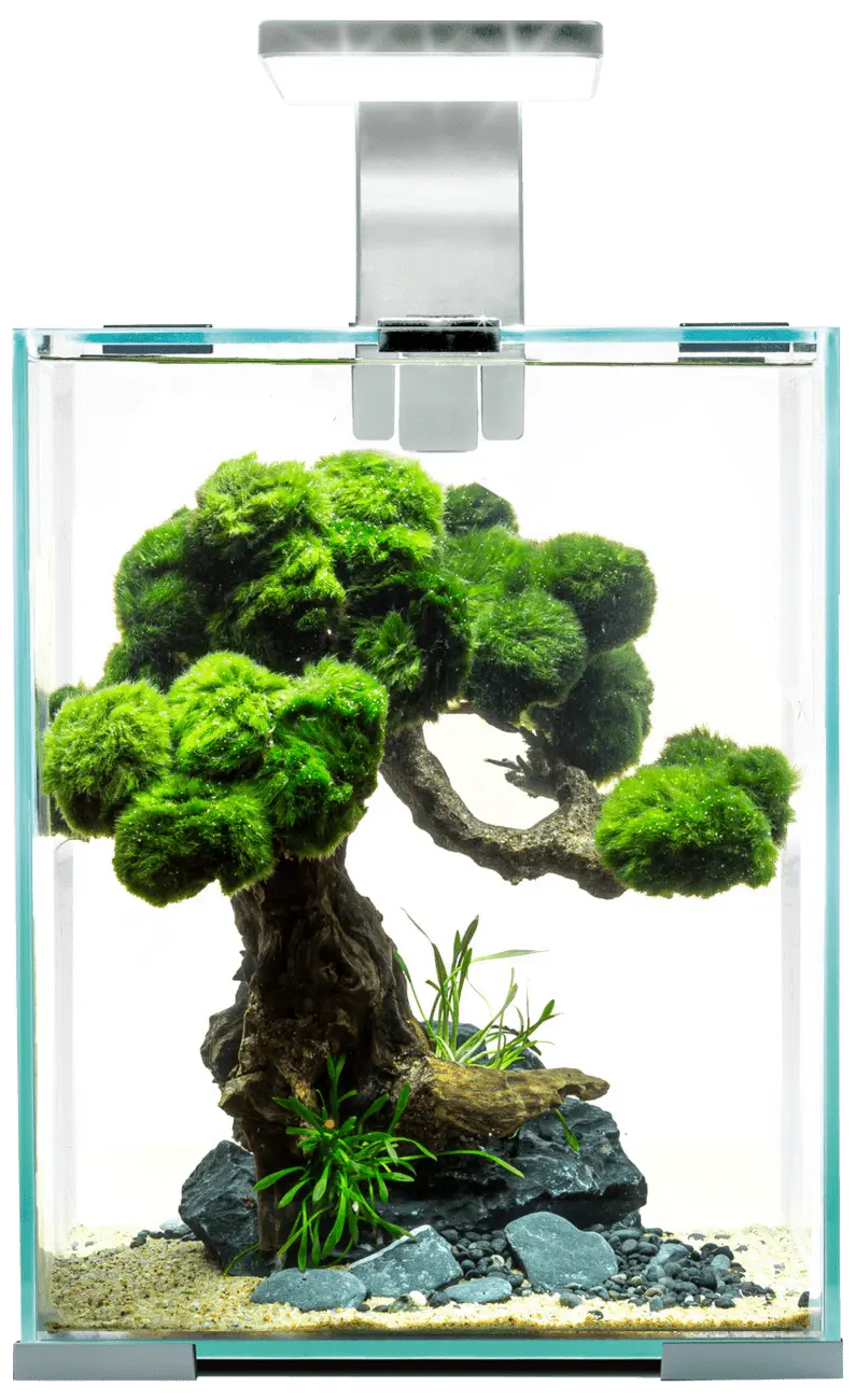 Akvárium Aquael Shrimp Smart Day & Night 10l bílé