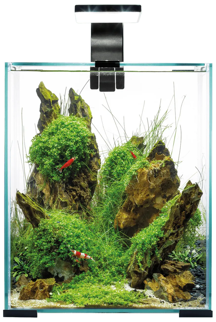 Akvárium Aquael Shrimp Smart Day & Night 19l černé