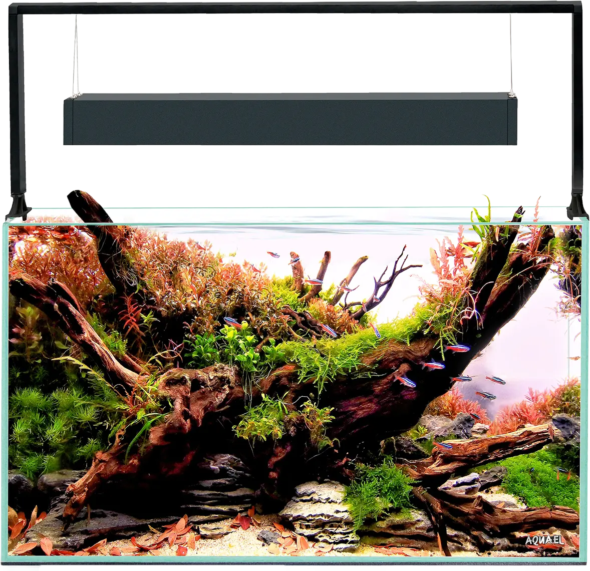 Akvarijní set Aquael Ultrascape 60 Forest 64,8l
