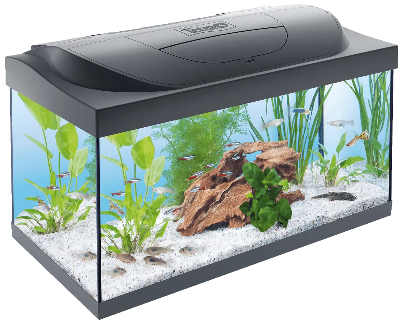 Akvárium Tetra Starter Line LED 54l