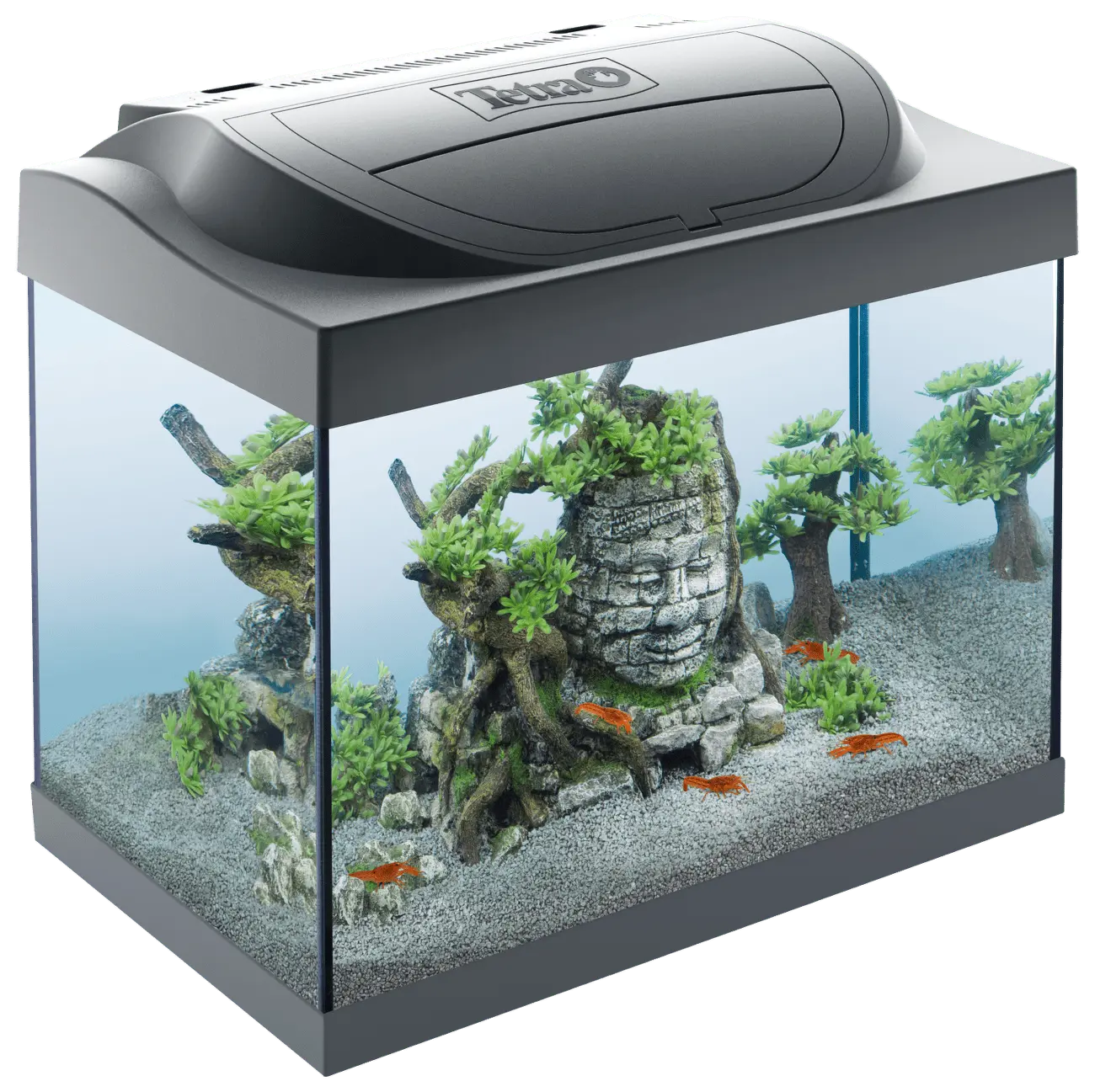 Akvárium Tetra Starter Line LED Crayfish 30l