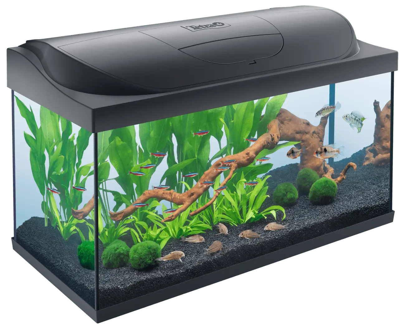 Akvárium set Tetra Starter line LED 105l