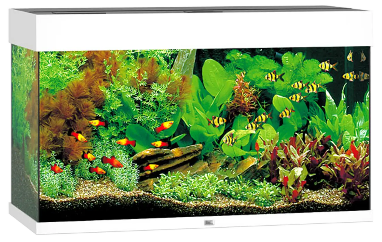 Akvárium Juwel Rio LED 125l bílá