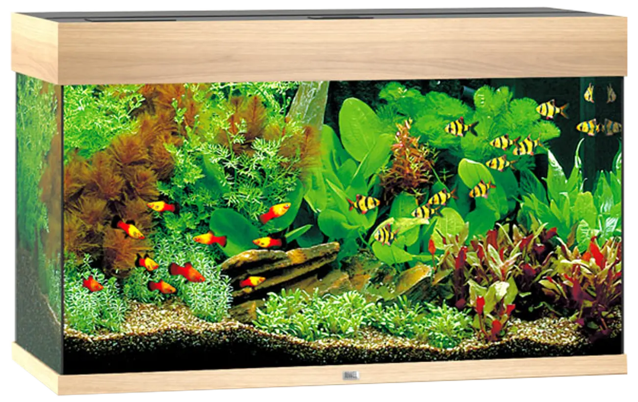 Akvárium Juwel Rio LED 125l dub
