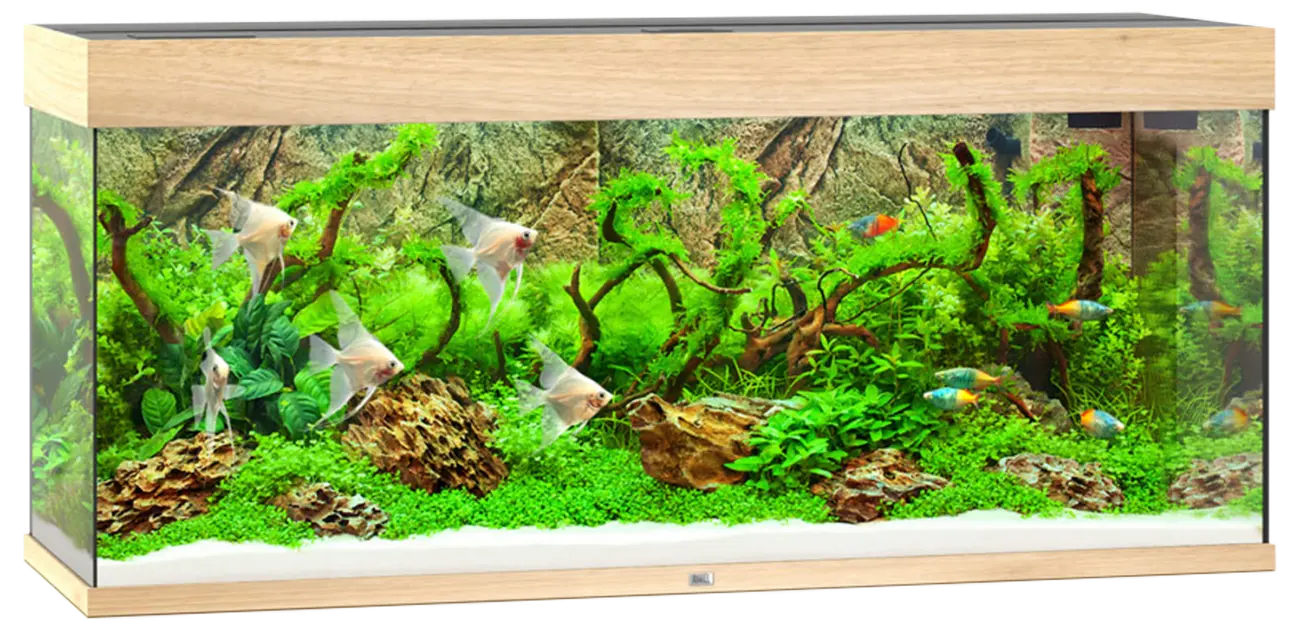 Akvárium Juwel Rio LED 240l dub