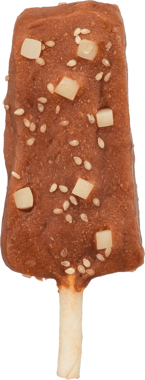 Pochoutka Trixie Denta Fun Ice Pop žvýkací nanuk 12 cm