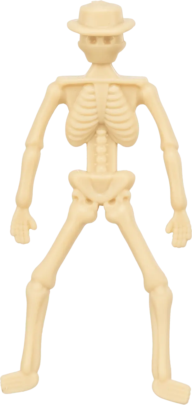 Pochoutka pro psy Trixie Halloween kostlivec s kuřecím prsem 20 g