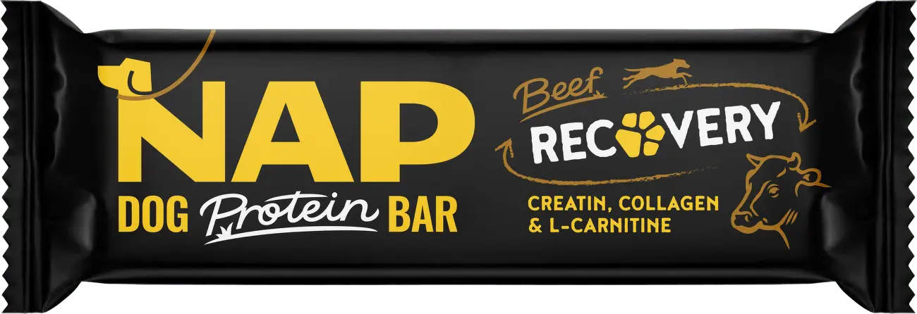 NAP Psí proteinová tyčinka RECOVERY hovězí 50g + Množstevní sleva