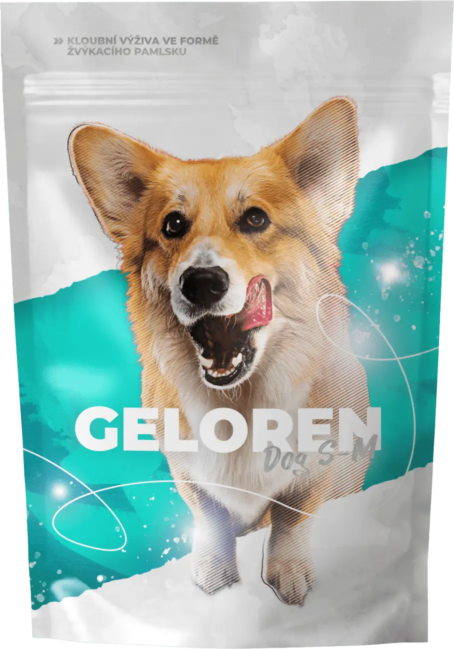 Geloren pro malé a střední psy | Geloren DOG S-M