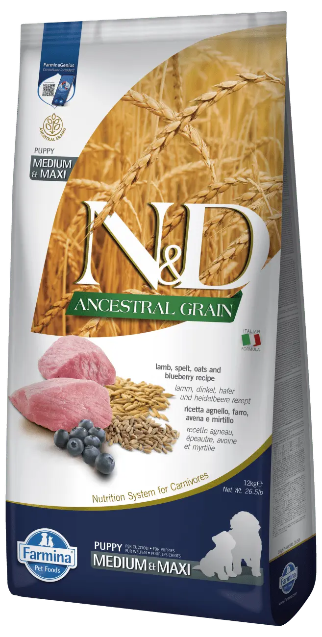 N&D Dog Puppy Medium/Large Lamb/Blueberry Low Grain - 12kg