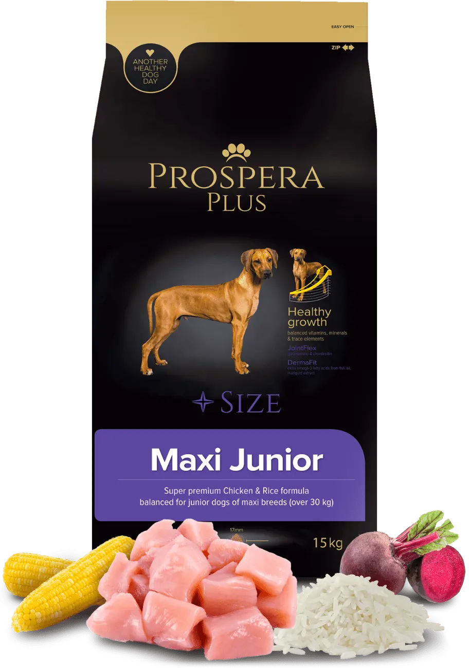 Prospera Plus Maxi Junior 15kg