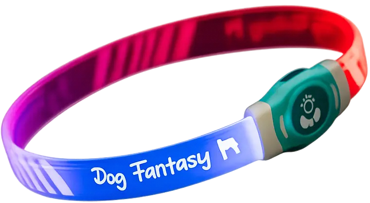 Obojek Dog Fantasy LED Svítící různobarevný nabíjecí L 65cm