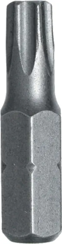 Bit Stahlberg T30 2 ks