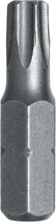 Bit Stahlberg T10 2 ks
