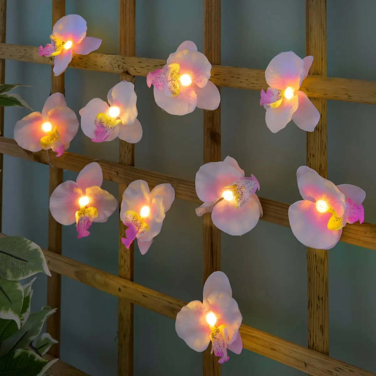 Solární světelný řetěz Orchideje